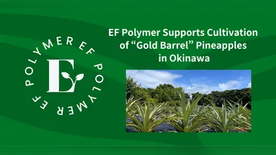 Plantación de piñas en Okinawa sobre fondo verde con el logotipo de EF Polymer